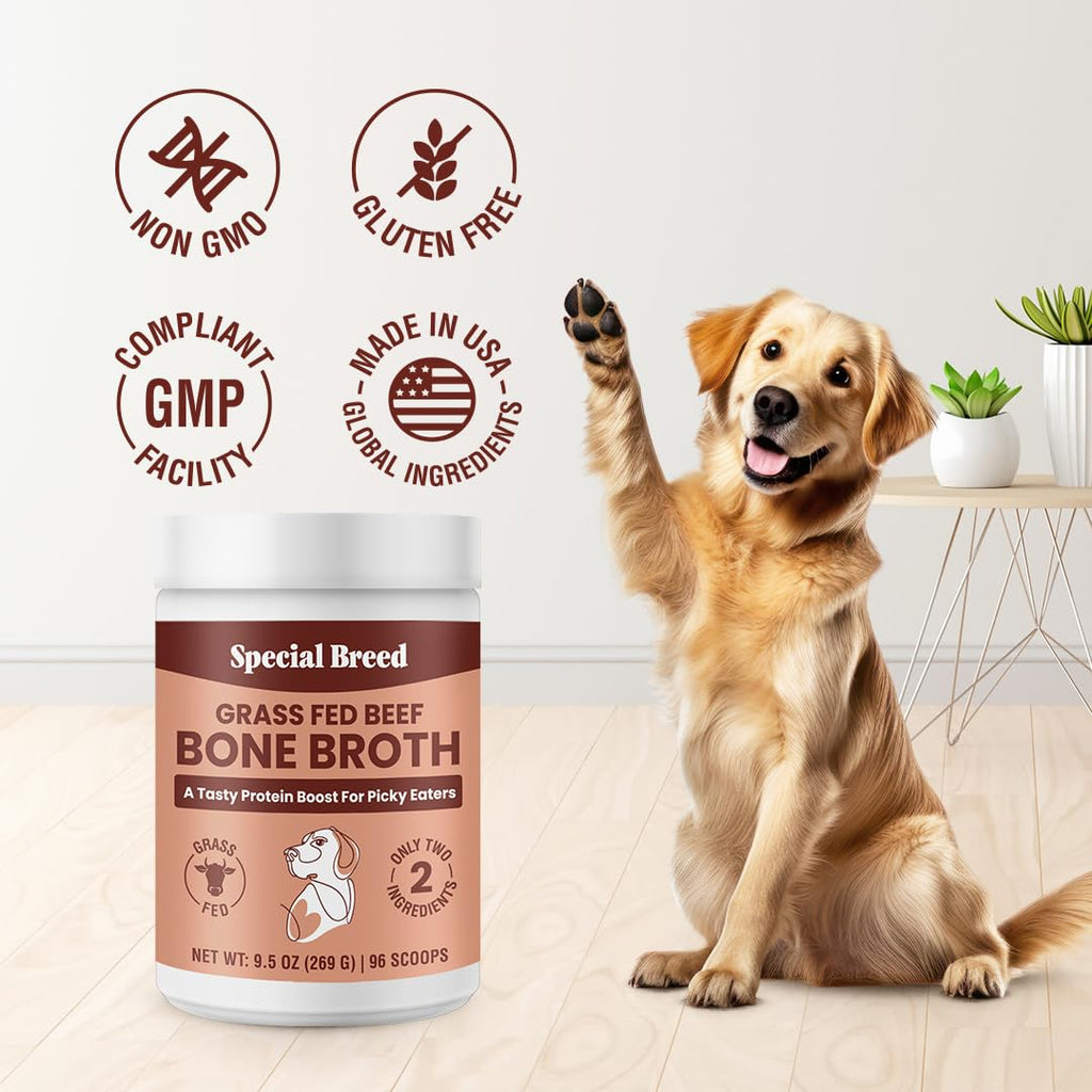 Grass Fed Beef Bone Broth Powder for Dogs and Cats 9.5oz I180233
