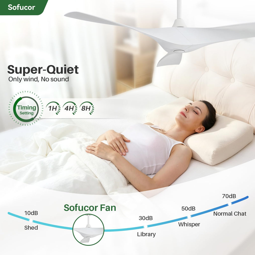 52 Inch Ceiling Fan Y8179