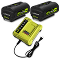 2-Pack 40V Lithium-Ion Battery and Charger Starter Kit S483