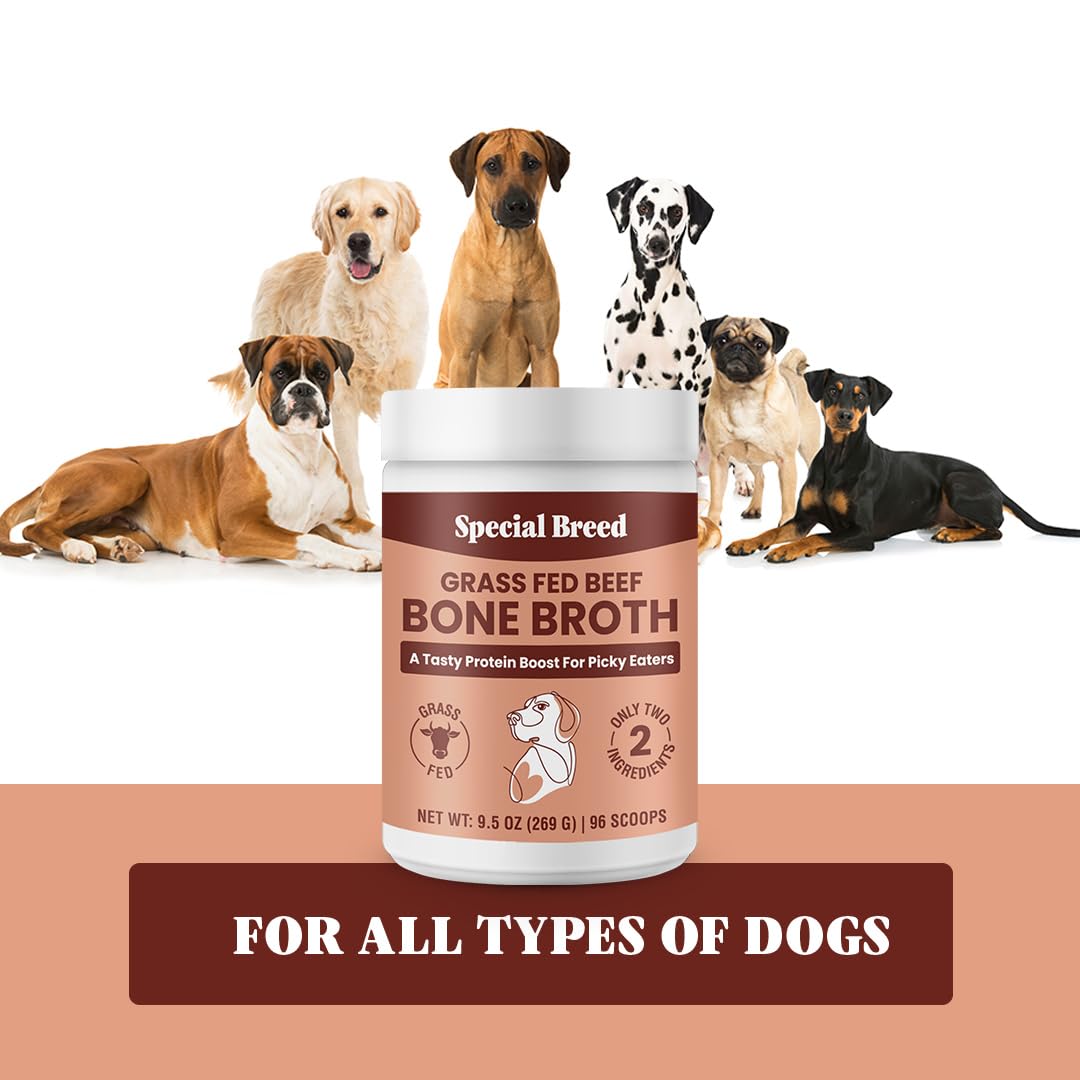 Grass Fed Beef Bone Broth Powder for Dogs and Cats 9.5oz I180233