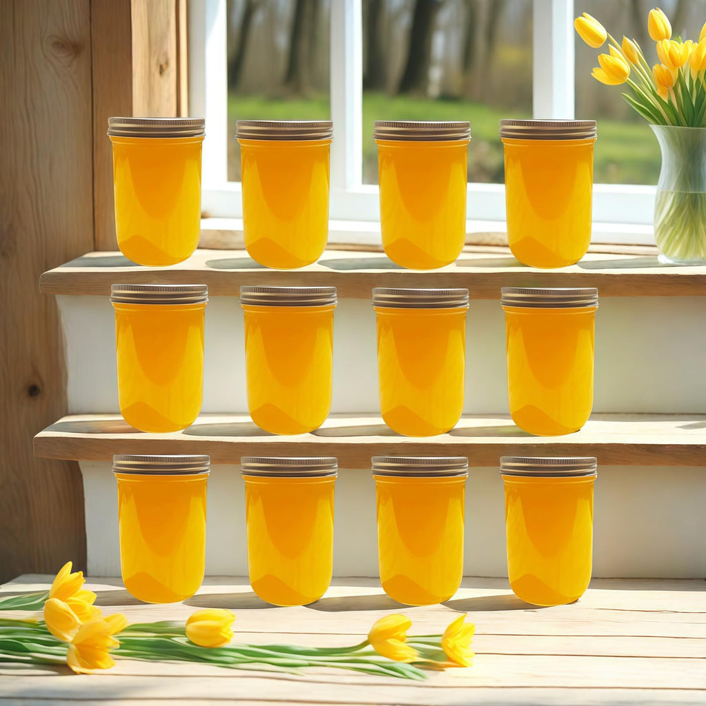 12 Pc 16 oz Wide Mouth Glass Mason Jars with Lids D4211