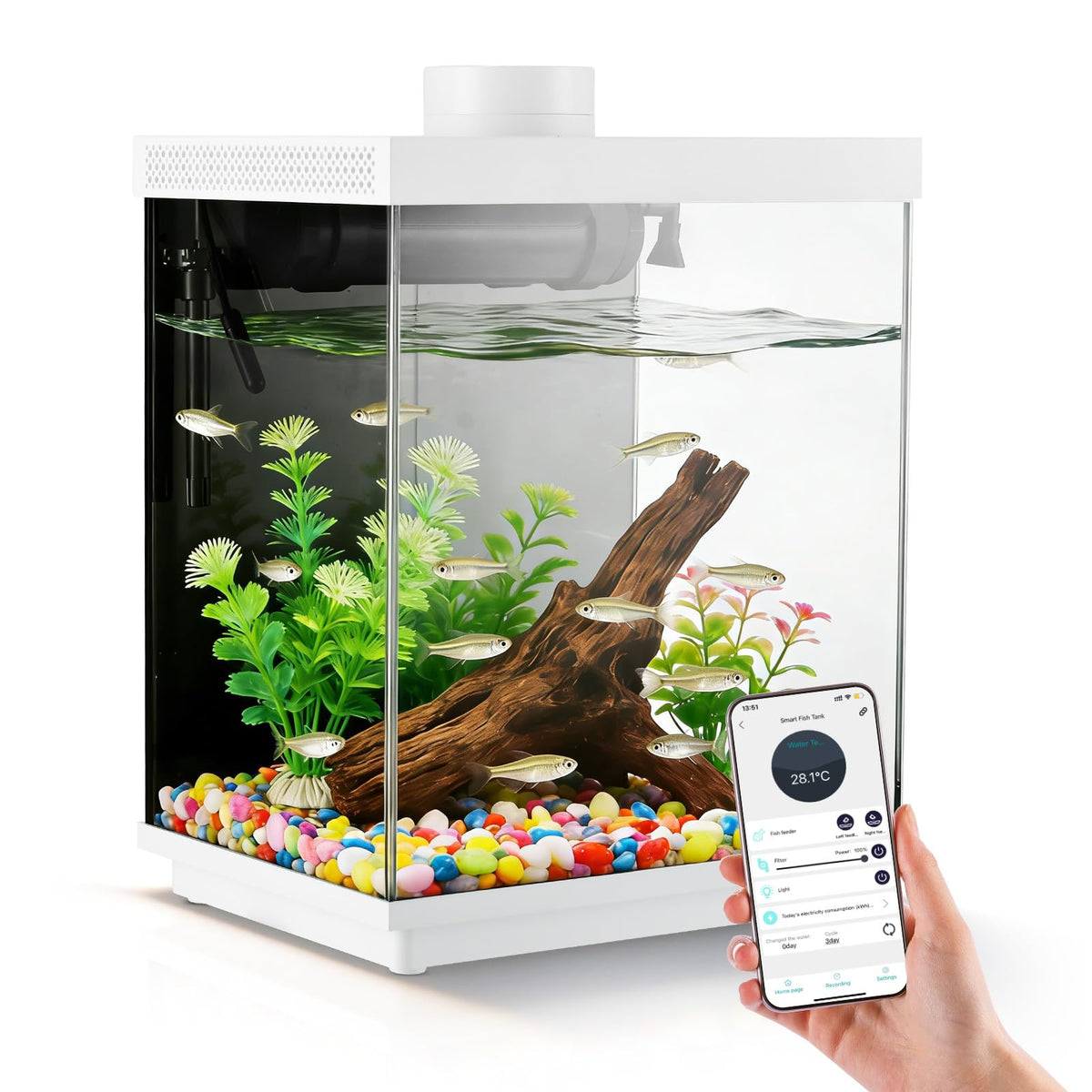 3 Gallon Glass Fish Tank Aquarium Kit with APP Control I520378