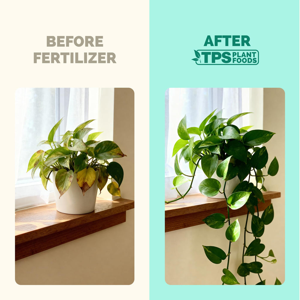 Indoor Plant Food Liquid Fertilizer 32oz Y509