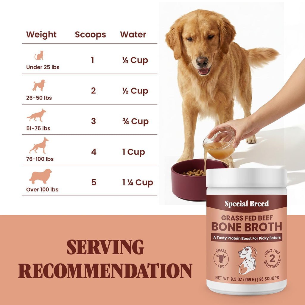 Grass Fed Beef Bone Broth Powder for Dogs and Cats 9.5oz I180233