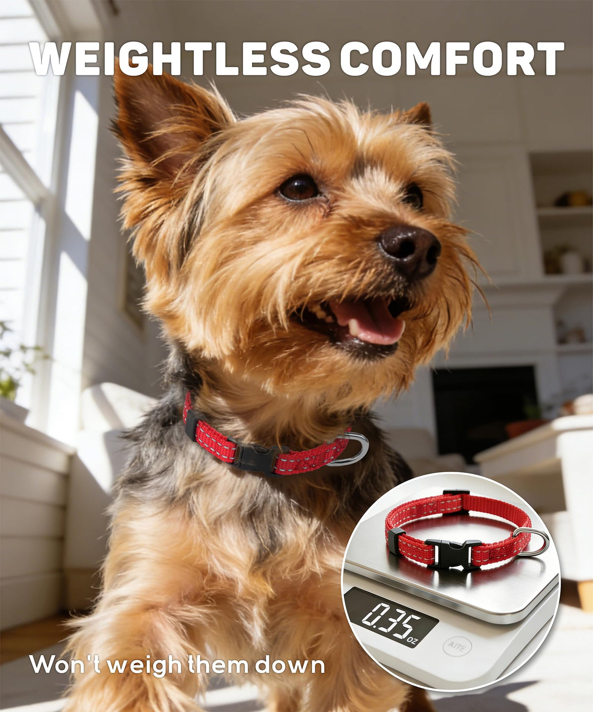 Reflective Small Dog Collar X1873