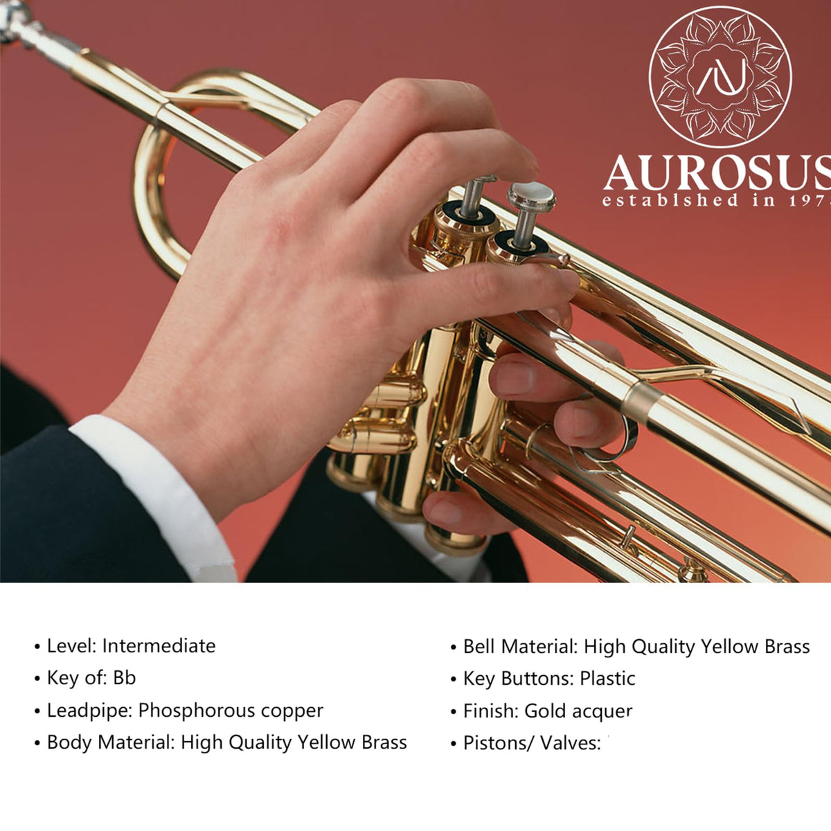 Beginner Student Trumpet with Rose Brass Leadpipe Q745077
