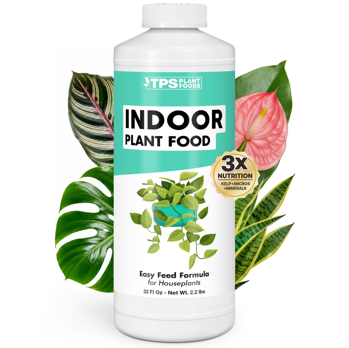 Indoor Plant Food Liquid Fertilizer 32oz Y509