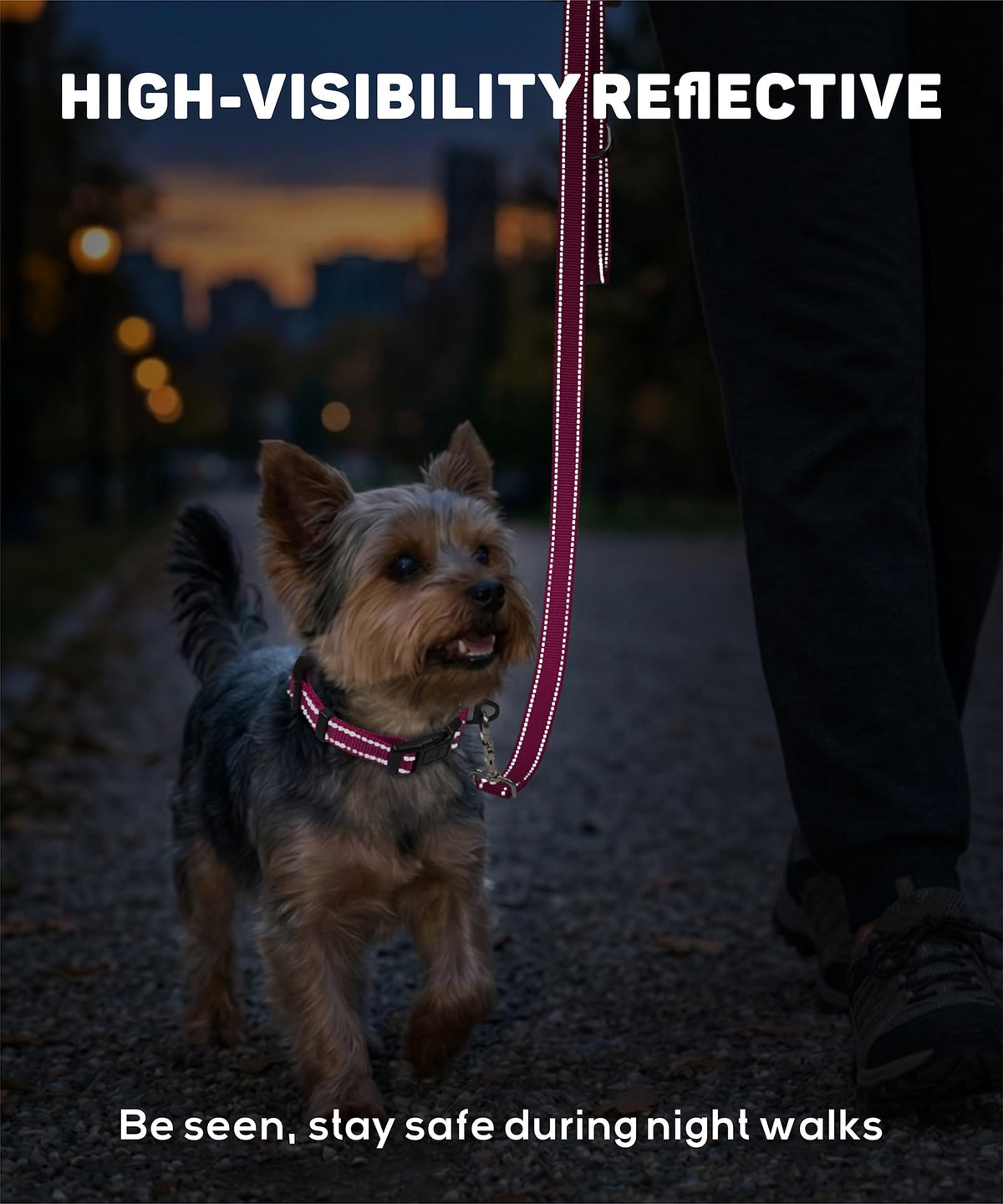 Reflective Small Dog Collar X1873