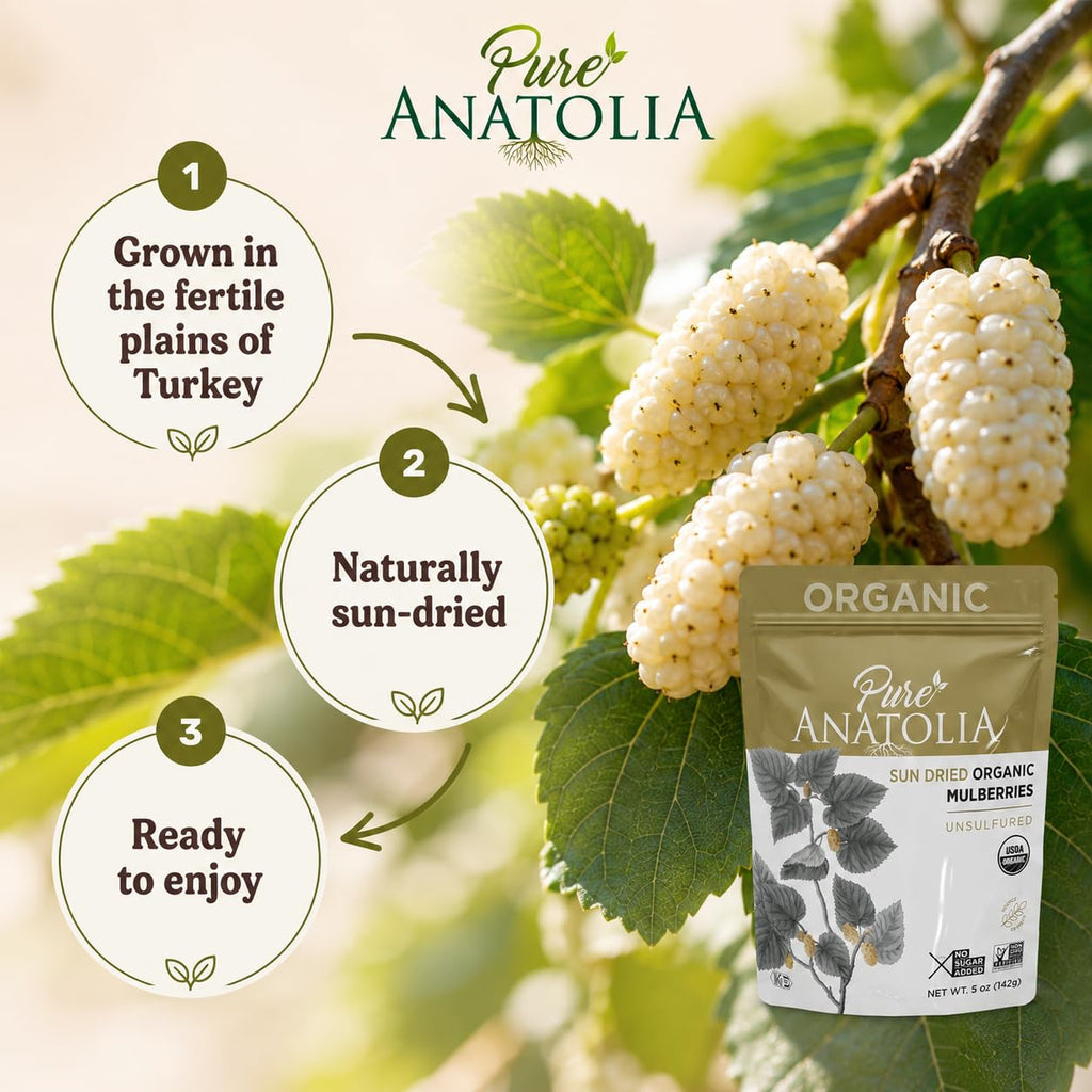 Organic Sun Dried White Mulberries 5 oz Resealable Bag P851770