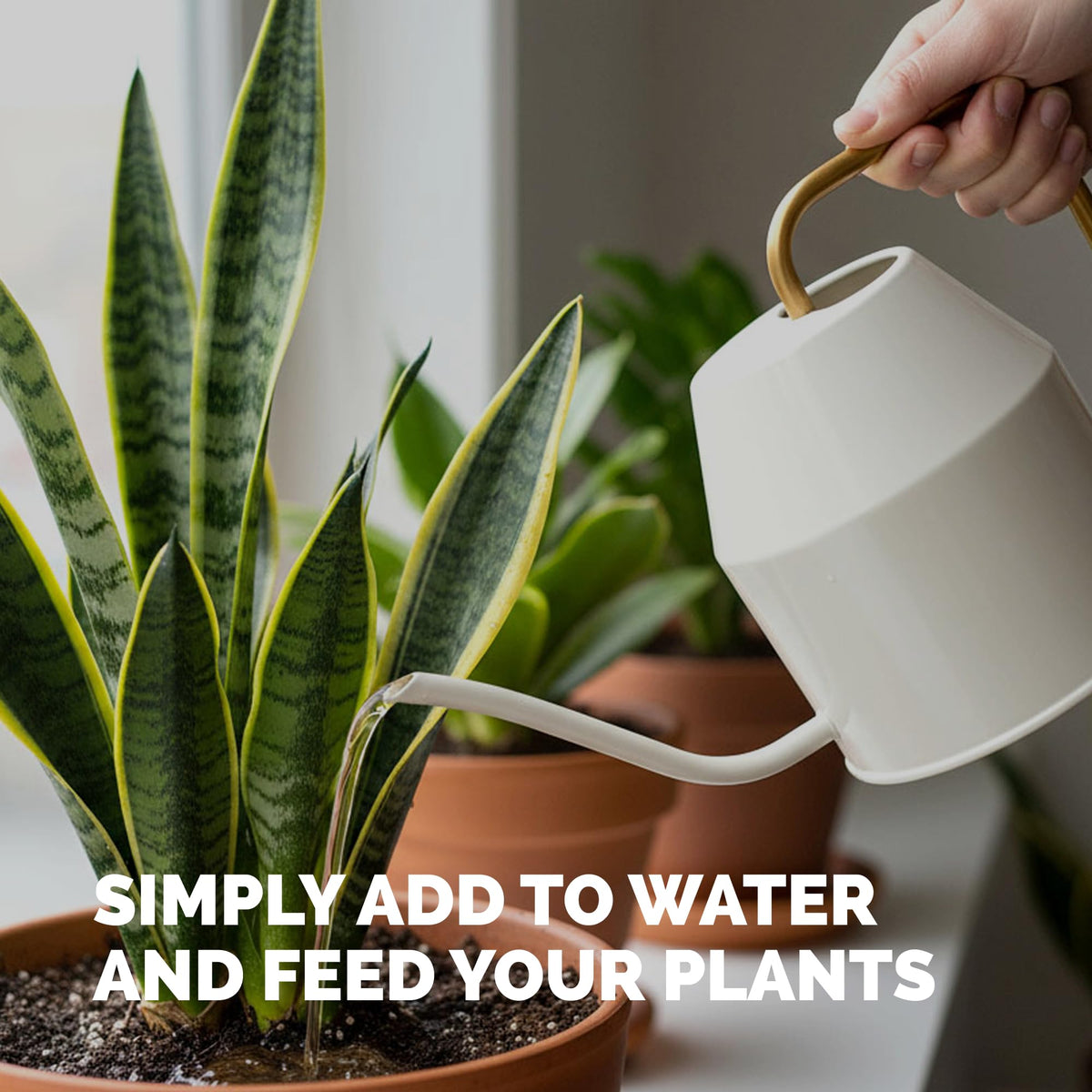 Indoor Plant Food Liquid Fertilizer 32oz Y509