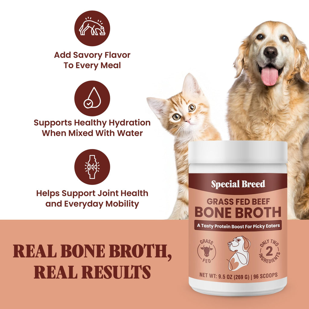 Grass Fed Beef Bone Broth Powder for Dogs and Cats 9.5oz I180233