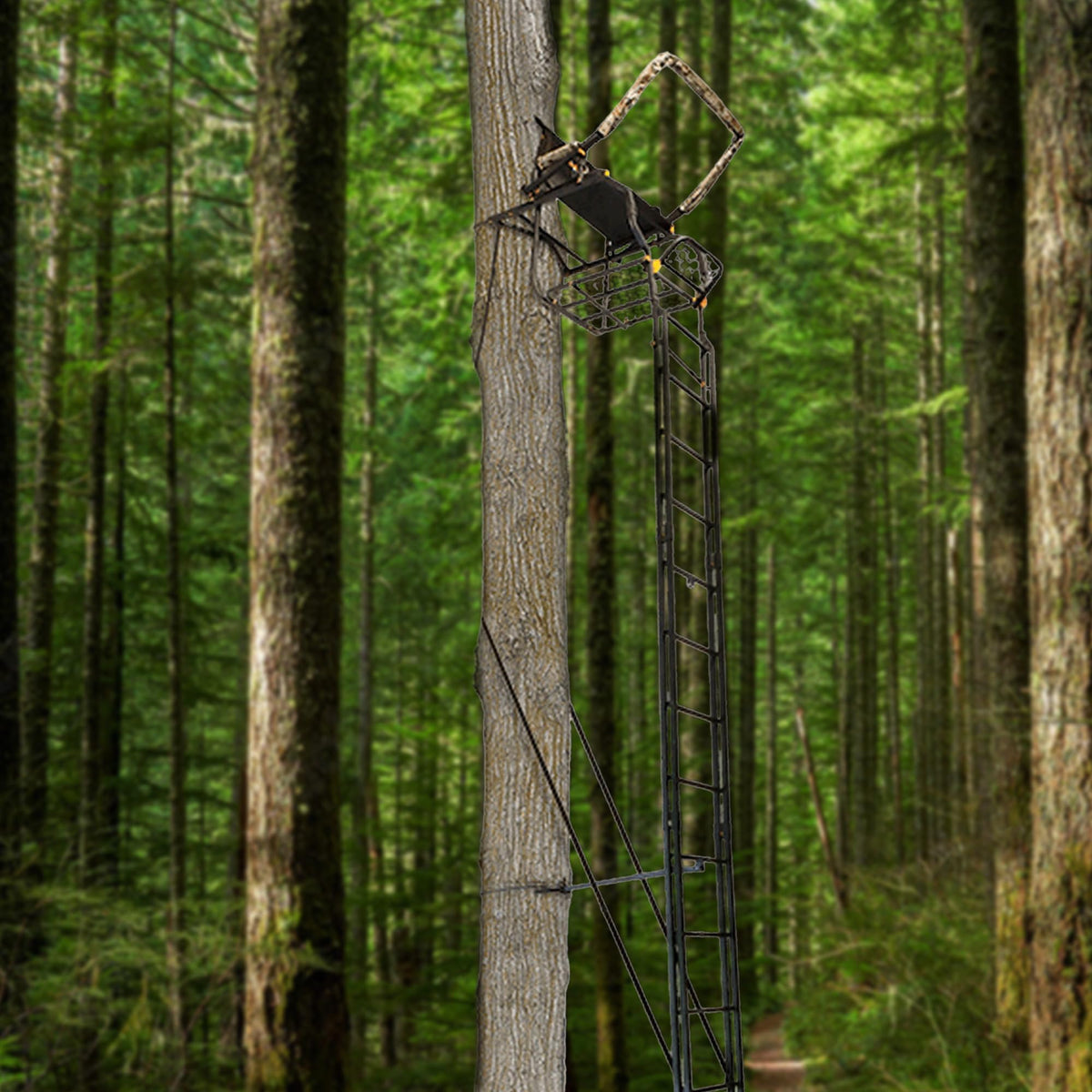 Adjustable 17 ft 1-Person Ladder Tree Stand M5493