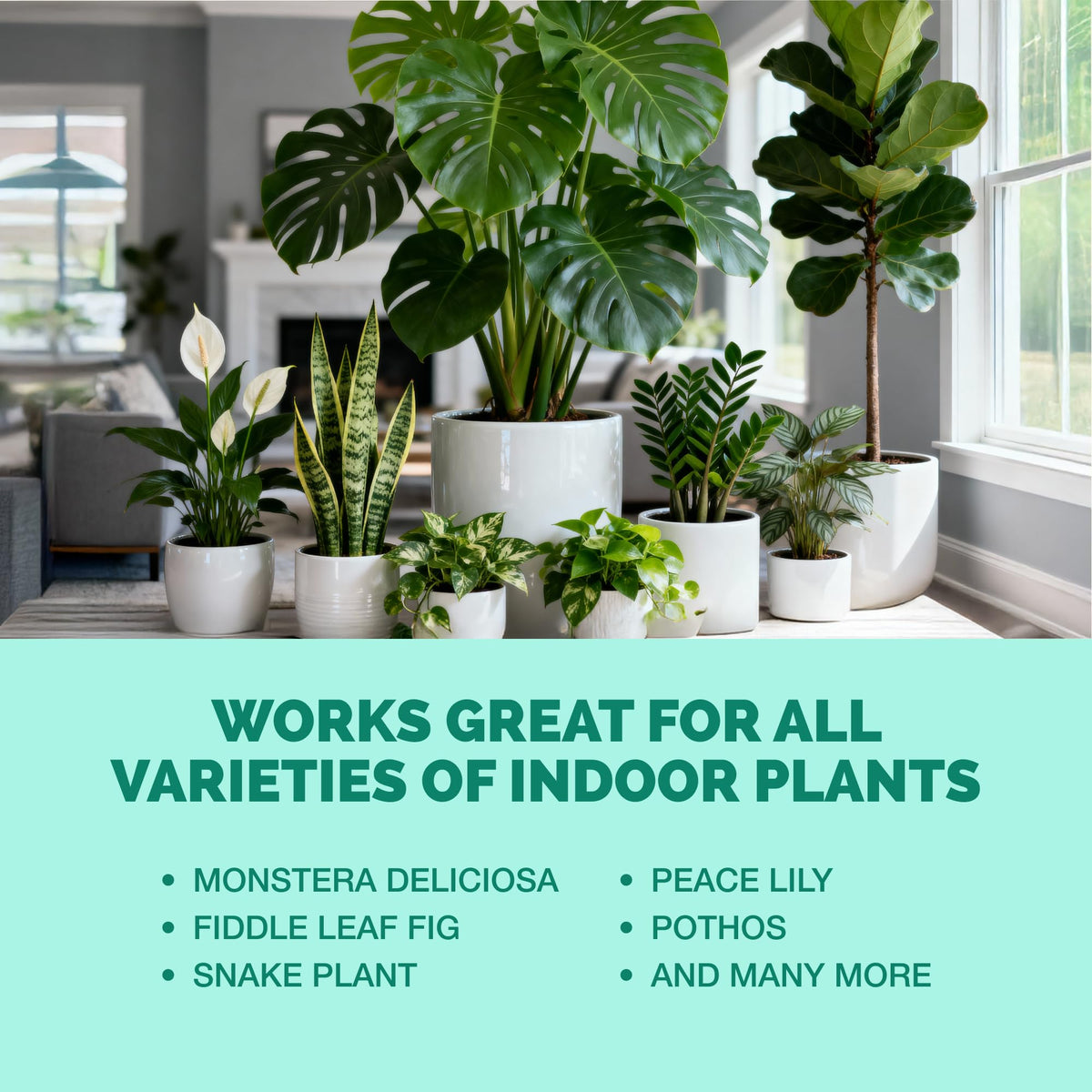 Indoor Plant Food Liquid Fertilizer 32oz Y509