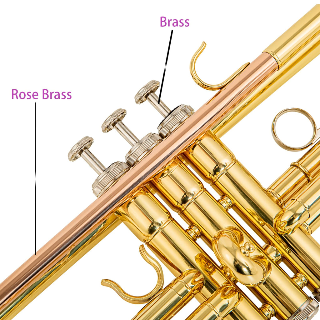 Beginner Student Trumpet with Rose Brass Leadpipe Q745077
