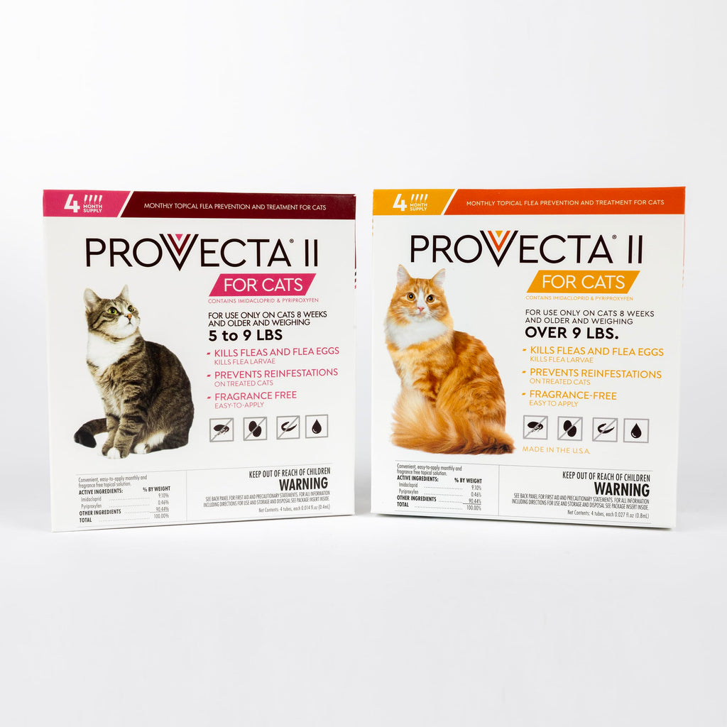 Flea Treatment for Large Cats Over 9 lbs, 4-Month Supply D71818
