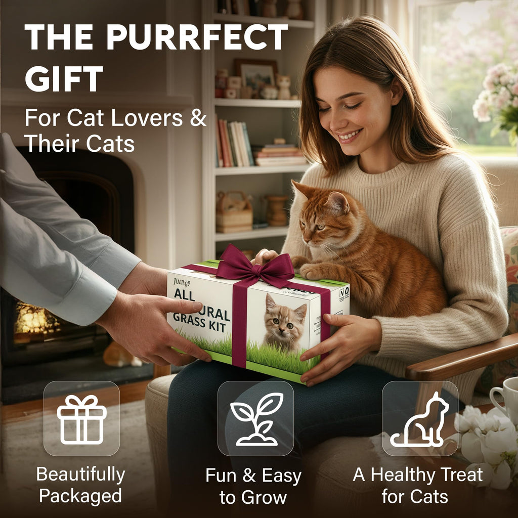 Cat Grass Kit K5894