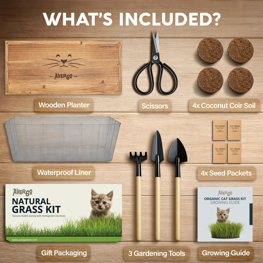 Cat Grass Kit K5894
