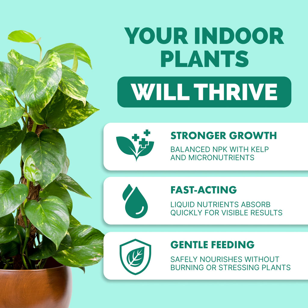 Indoor Plant Food Liquid Fertilizer 32oz Y509