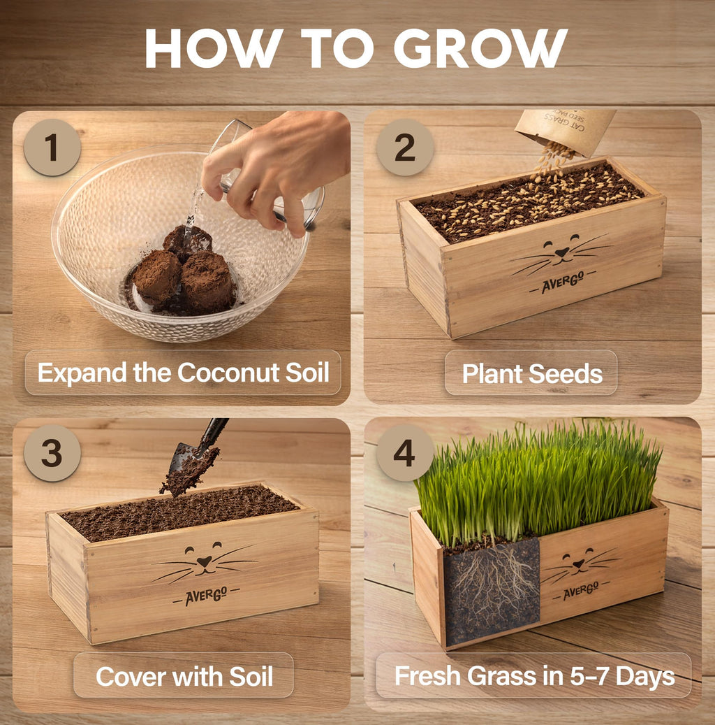 Cat Grass Kit K5894