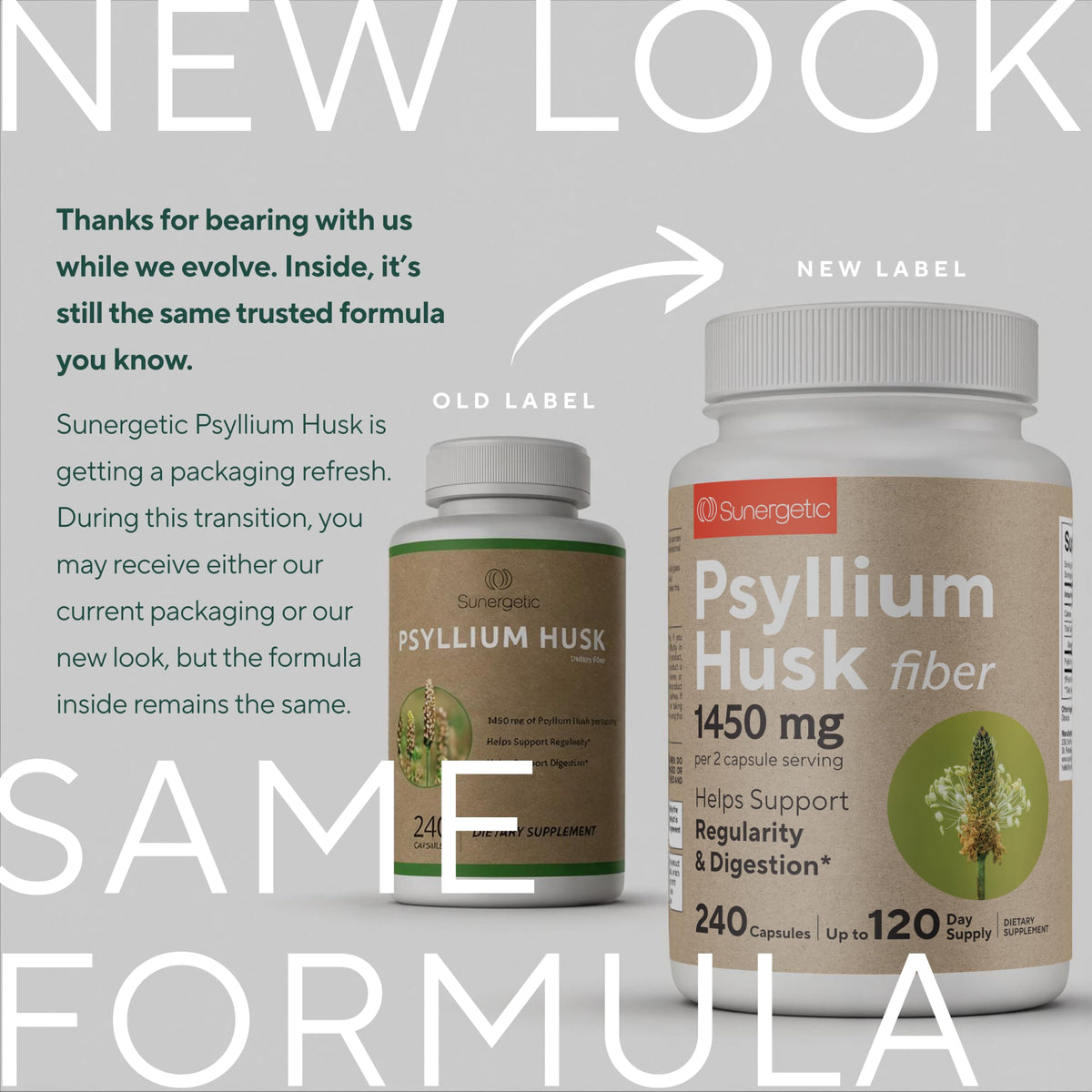Psyllium Husk Fiber Supplement 1450mg 240 Capsules G18591