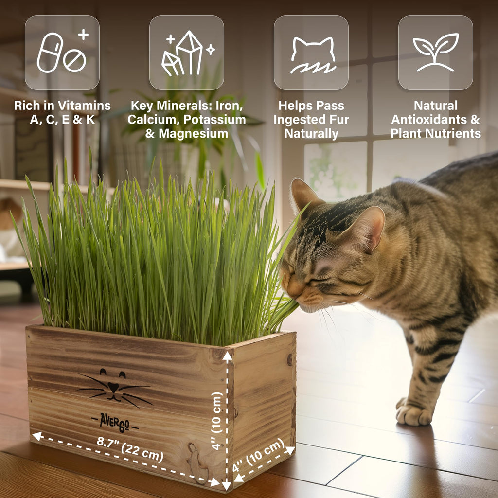 Cat Grass Kit K5894