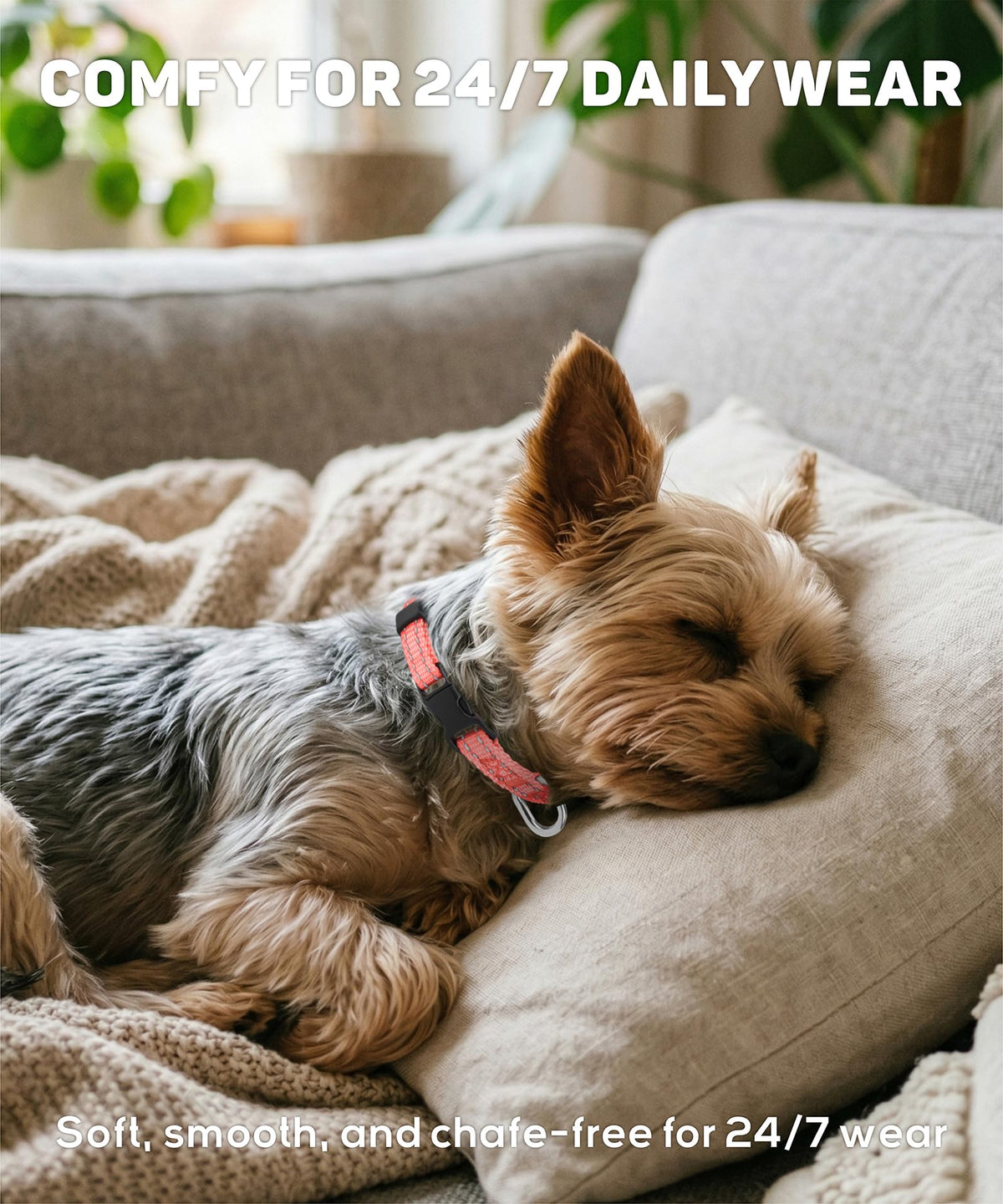 Reflective Small Dog Collar X1873