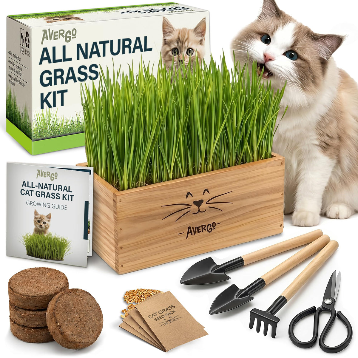 Cat Grass Kit K5894