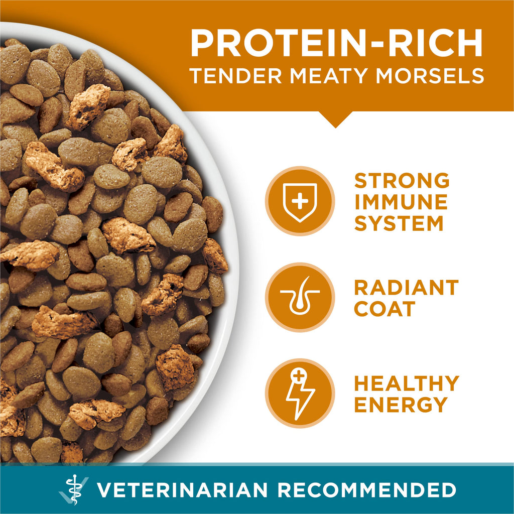 Dry Cat Food Chicken 7 lb Bag Z602288