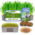 3 Pack Cat Grass Seeds Growing Kit F1801