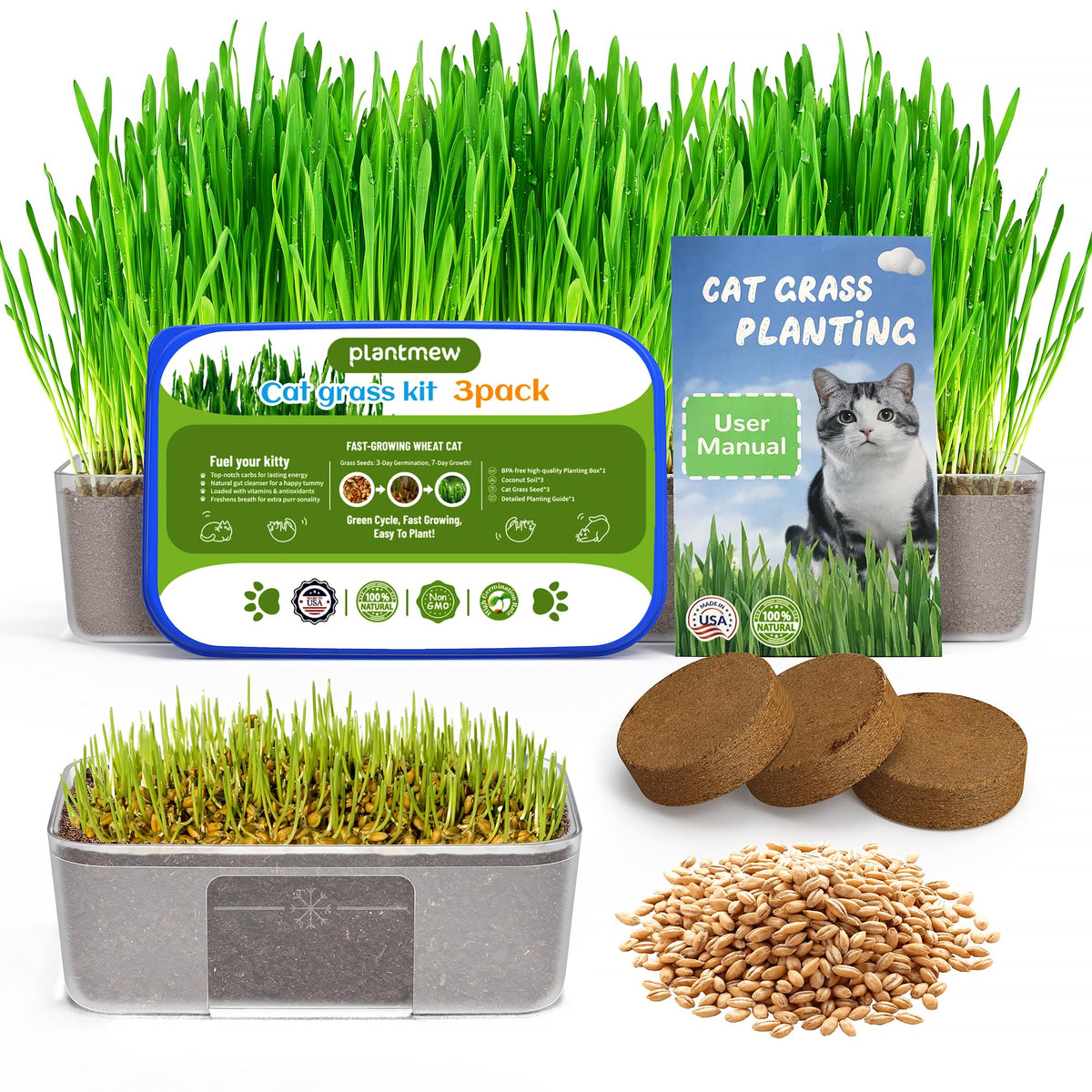 3 Pack Cat Grass Seeds Growing Kit F1801