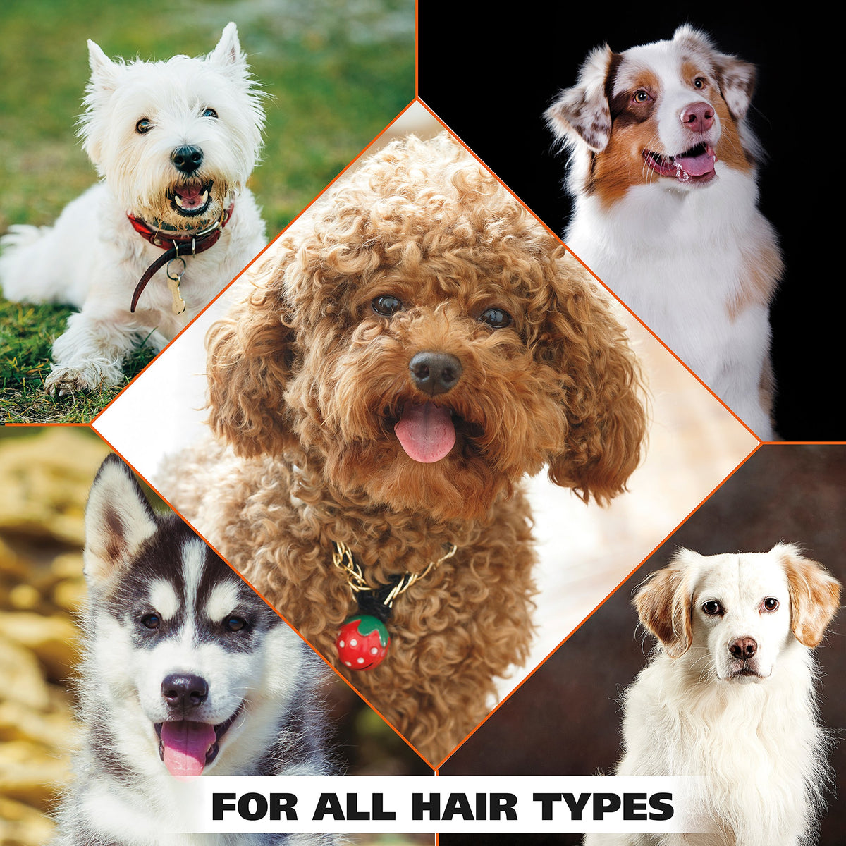 Oatmeal Formula Pet Shampoo 24 Oz U376
